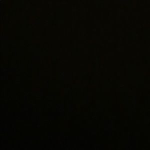 Meet your Posher, Ava